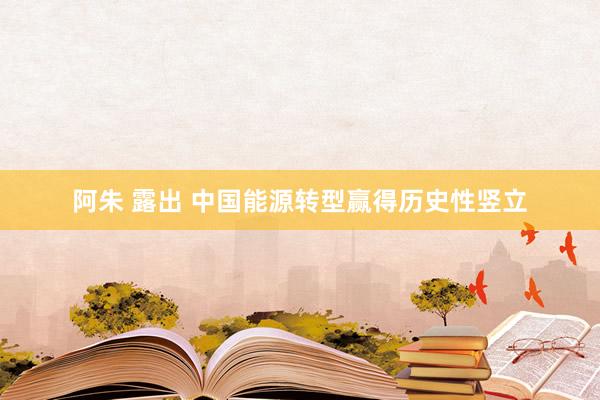 阿朱 露出 中国能源转型赢得历史性竖立