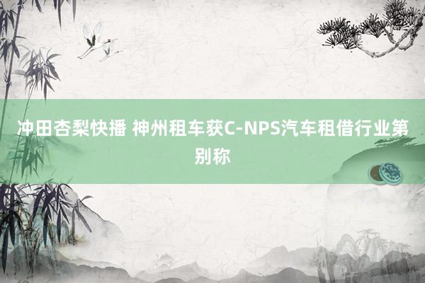 冲田杏梨快播 神州租车获C-NPS汽车租借行业第别称