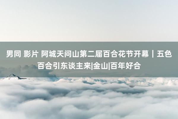 男同 影片 阿城天问山第二届百合花节开幕｜五色百合引东谈主来|金山|百年好合