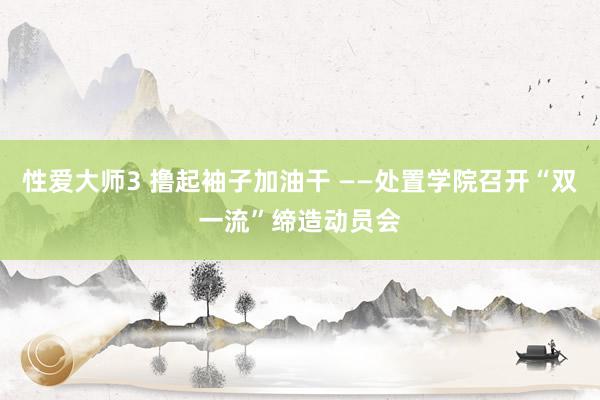 性爱大师3 撸起袖子加油干 ——处置学院召开“双一流”缔造动员会