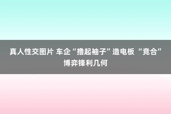 真人性交图片 车企“撸起袖子”造电板 “竞合”博弈锋利几何