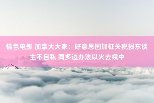 情色电影 加拿大大家：好意思国加征关税损东谈主不自私 同多边办法以火去蛾中