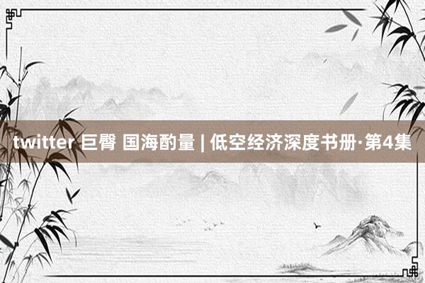 twitter 巨臀 国海酌量 | 低空经济深度书册·第4集