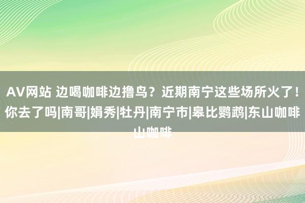 AV网站 边喝咖啡边撸鸟？近期南宁这些场所火了！你去了吗|南哥|娟秀|牡丹|南宁市|皋比鹦鹉|东山咖啡
