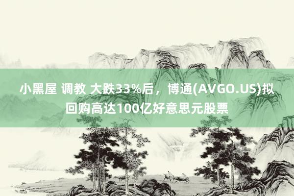 小黑屋 调教 大跌33%后，博通(AVGO.US)拟回购高达100亿好意思元股票