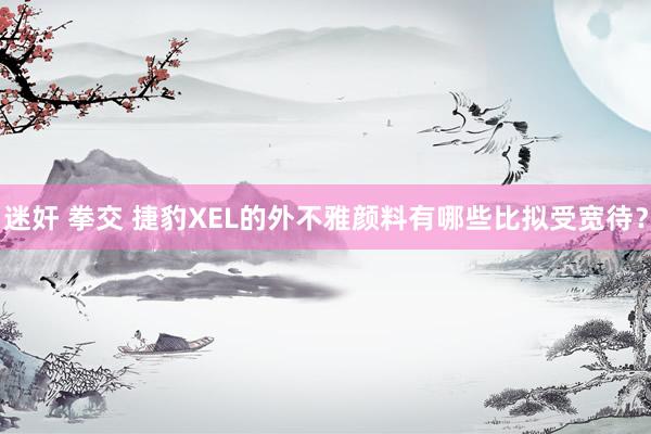 迷奸 拳交 捷豹XEL的外不雅颜料有哪些比拟受宽待？