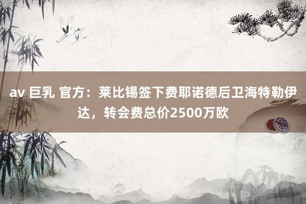 av 巨乳 官方：莱比锡签下费耶诺德后卫海特勒伊达，转会费总价2500万欧