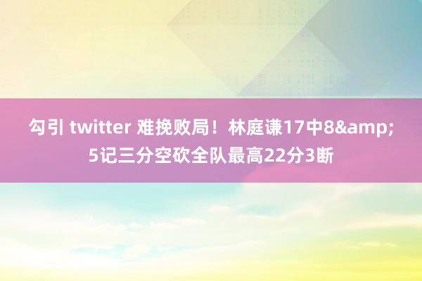 勾引 twitter 难挽败局！林庭谦17中8&5记三分空砍全队最高22分3断