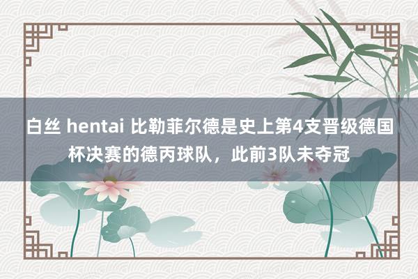 白丝 hentai 比勒菲尔德是史上第4支晋级德国杯决赛的德丙球队，此前3队未夺冠